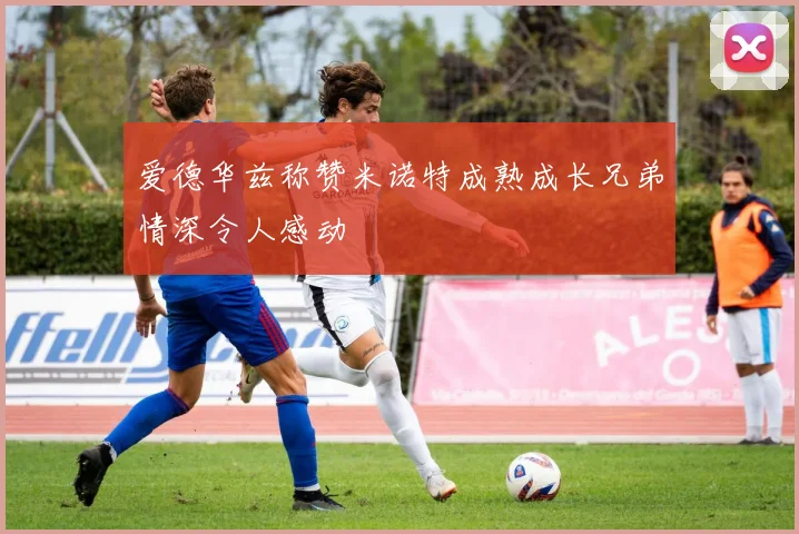 爱德华兹称赞米诺特成熟成长兄弟情深令人感动